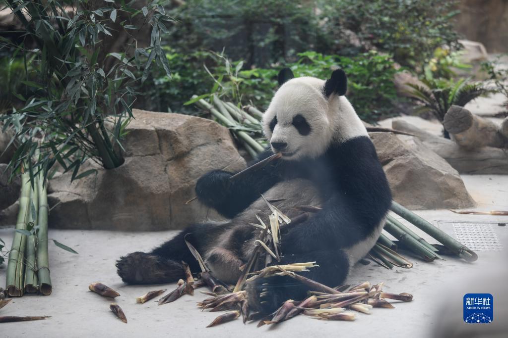 捕鱼游戏赚钱知乎